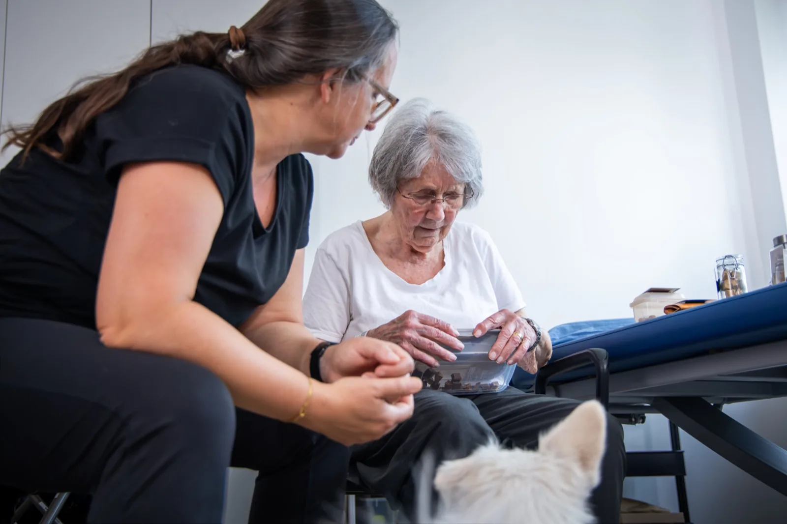 Tiergestützte Therapie &ndash; Ergotherapie in der Praxis ErgoLogo